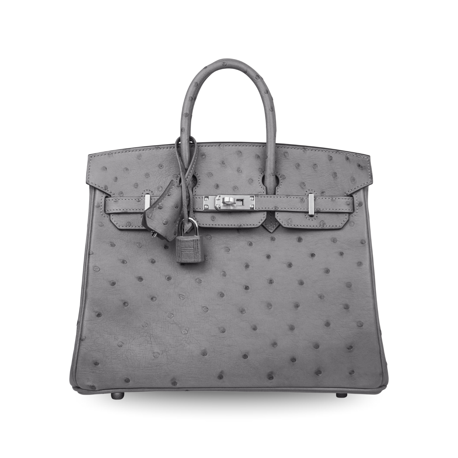 Hermès Birkin Ostrich Gris Tourterelle